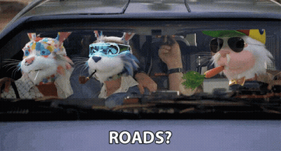 Stuffed Animals In Car With Roads GIF