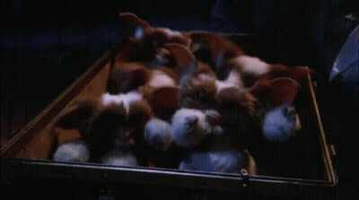 Stuffed Animals Sitting In Case GIF