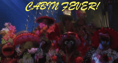 Stuffed Animals With Cabin Fever GIF