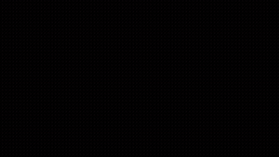 Stuffed Animals With Chicken GIF