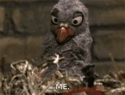 Stuffed Bird Sitting In Nest With Popcorn GIF