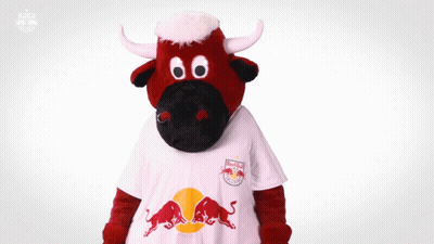 Stuffed Bull In Red Bull Shirt GIF