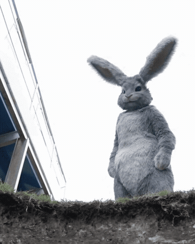 Stuffed Bunny Standing On Dirt Hill GIF