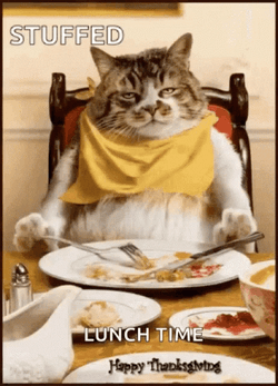 Stuffed Cat Happy Thanksgiving Lunch Time GIF