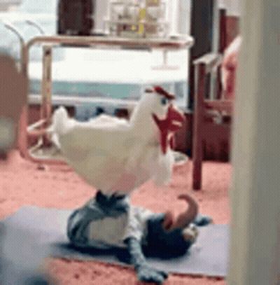 Stuffed Chicken Doing Yoga GIF