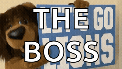 Stuffed Dog Holding Sign Saying The Go Boss GIF