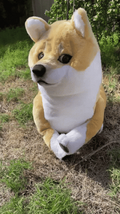 Stuffed Dog Sitting In Grass With Paws Crossed GIF