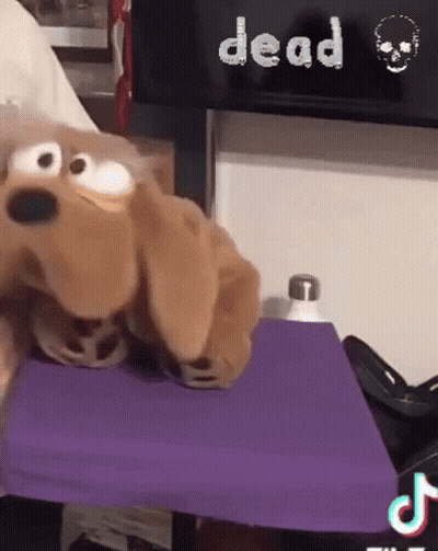 Stuffed Dog Sitting On Purple Cushion Saying Dead GIF