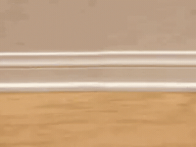 Stuffed Dog With Number 8 GIF