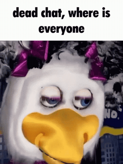 Stuffed Duck Saying Dead Chat Where Is Everyone GIF