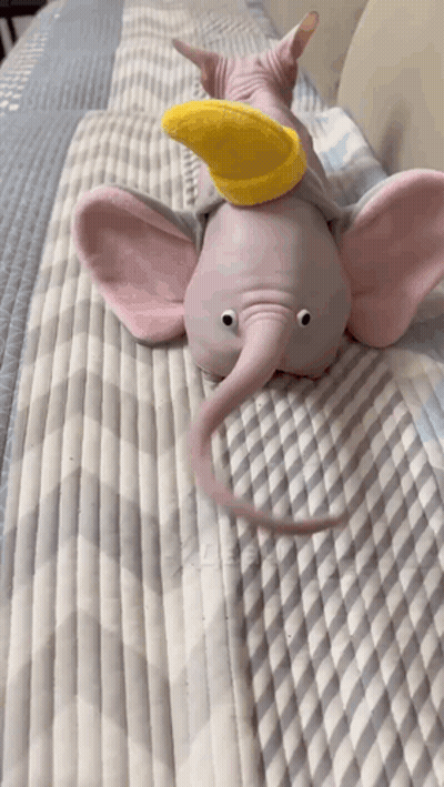 Stuffed Elephant Laying On Bed With Cat GIF