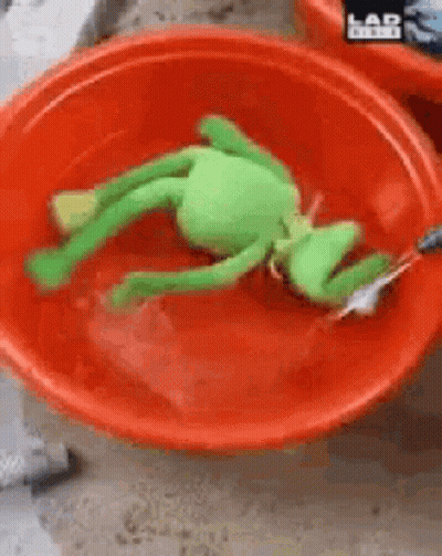 Stuffed Frog In Red Water Bowl GIF