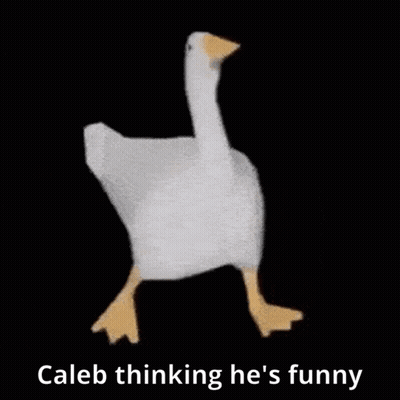 Stuffed Goose Walking Saying Caleb Thinking He's Funny GIF