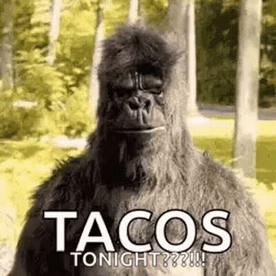 Stuffed Gorilla in Woods Saying Tacos Tonight