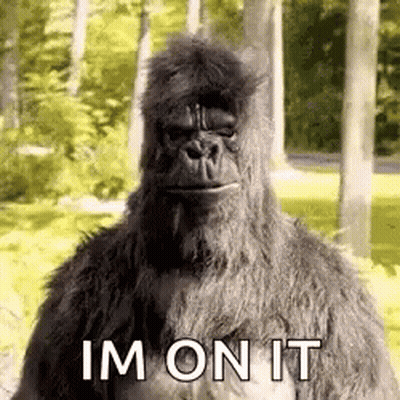 Stuffed Gorilla Saying Im On It GIF