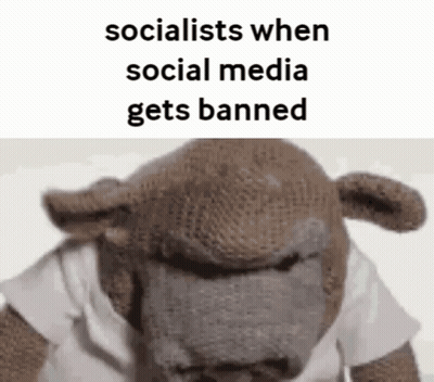 Stuffed Gorilla White Shirt Socialists When Social Media Gets Banned GIF