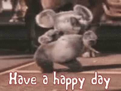 Stuffed Koala Bear Dancing Have A Happy Day GIF