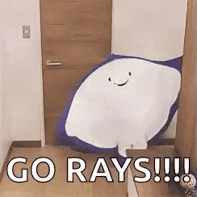 Stuffed Manta Ray Smiling in Room