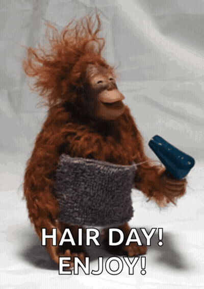 Stuffed Monkey Holding Hair Dryer And Towel GIF