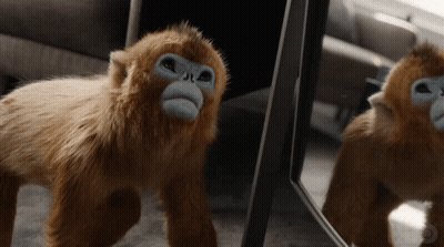 Stuffed Monkey In Front Of Mirror GIF