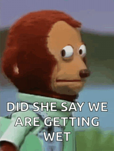 Stuffed Monkey In Green Shirt Saying Did She Say We Are Getting Wet GIF