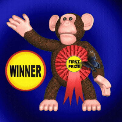 Stuffed Monkey With First Prize Ribbon GIF