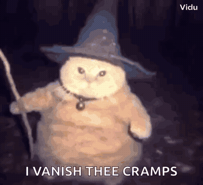 Stuffed Owl Wizard Hat Holding Wand Says I Vanish The Cramps GIF