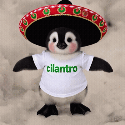 Stuffed Penguin In Sombrero And Cilantro Shirt GIF