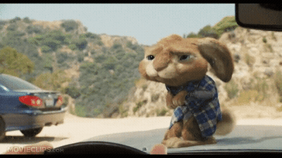 Stuffed Rabbit In Blue Plaid Shirt Standing In Front Of Car GIF