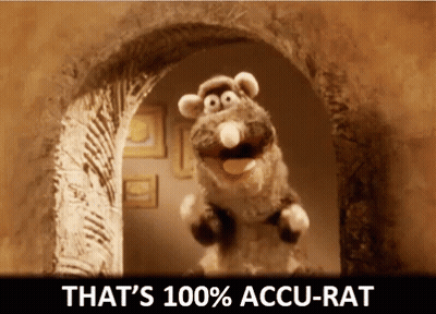 Stuffed Rat Saying That's 100% Accu-Rat GIF
