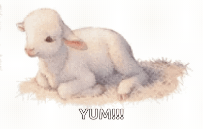 Stuffed Sheep Laying On Bed Mouth Open GIF