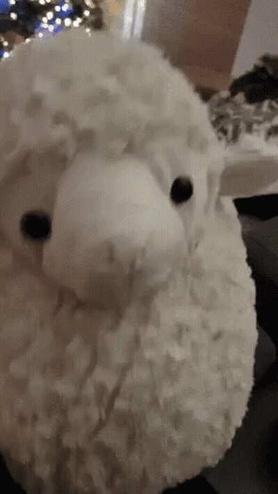 Stuffed Sheep With Christmas Tree GIF
