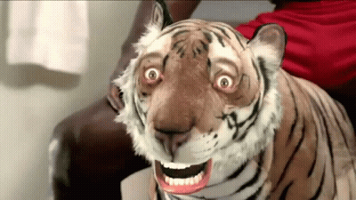 Stuffed Tiger Sitting On Couch With Mouth Open GIF