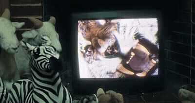 Stuffed Zebra Watching Lion On TV GIF