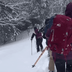 Stumbling On Ski Avalanche GIF