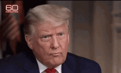Stunned President Donald Trump GIF