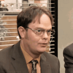 Stunned The Office Dwight Schrute GIF
