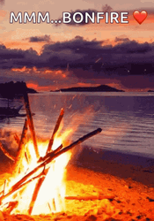 Stunning Campfire Bonfire Beach Sunset GIF