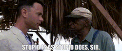 Stupid Is As Stupid Does Sir GIF
