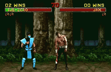 Sub Zero Wins Fatality GIF