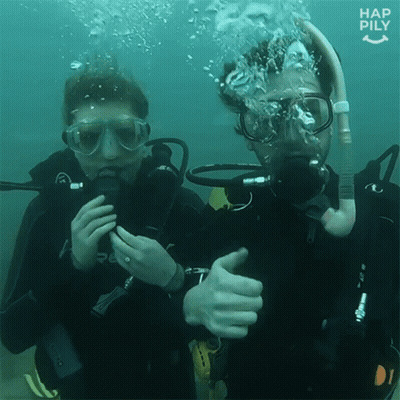 Suba Diving Thumbs Up GIF