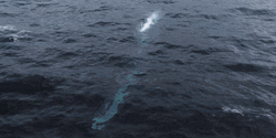 Submarine Emerging From Water GIF
