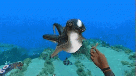 Subnautica Ciddlefish Feeding GIF