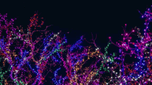 Subscribe Arrow Like Multicolor Neon Lights GIF