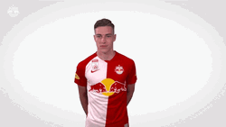 Success FC Red Bull Salzburg GIF