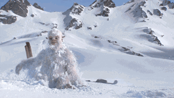 Success Snow Skiing Ape GIF