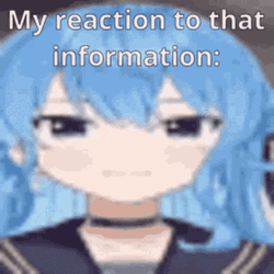 Suisei My Reaction To That Information What Meme GIF