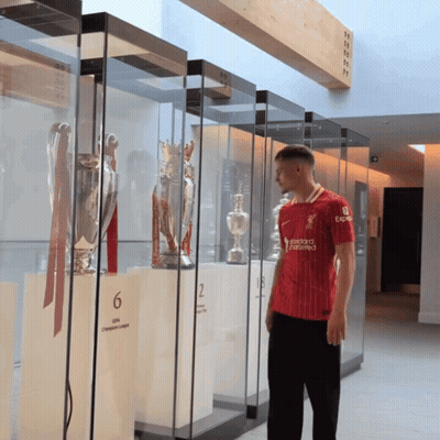 Suisse Vs Germany Soccer Game GIF