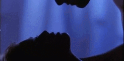 Sultry Shadows Passionate Kissing GIF