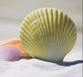 Summer August Happy Summer GIF